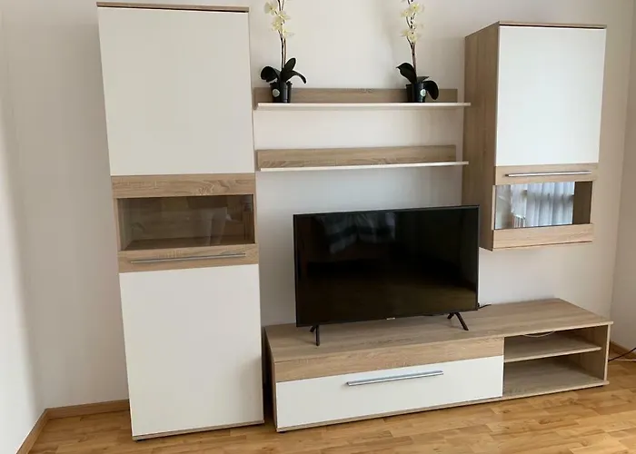 Schwaerzer 3*